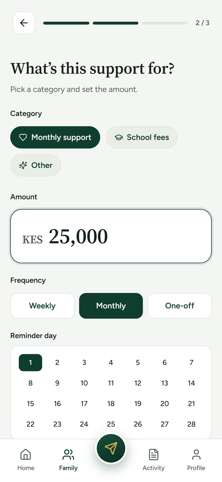Set the plan: category, amount and frequency